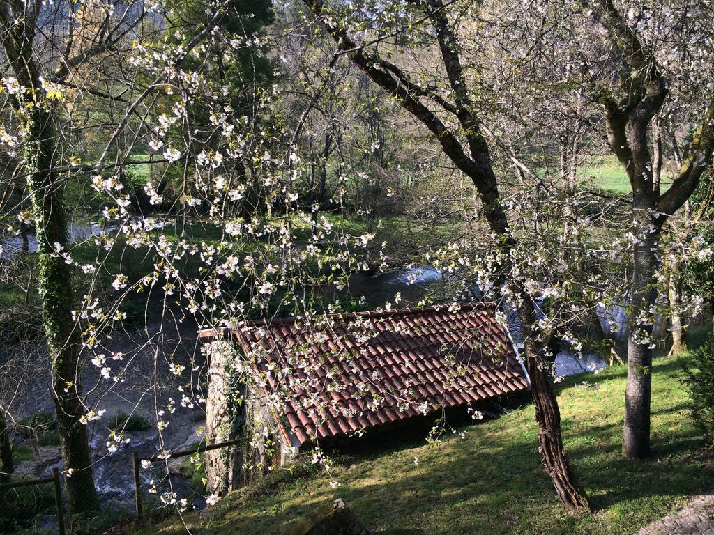 Quinta Do Rio Homem Caldelas Exterior photo